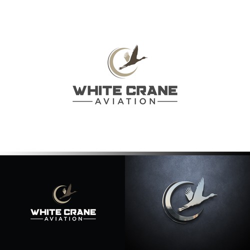 Logo for a Safe and Modern Aircraft rental company Design by ybur10