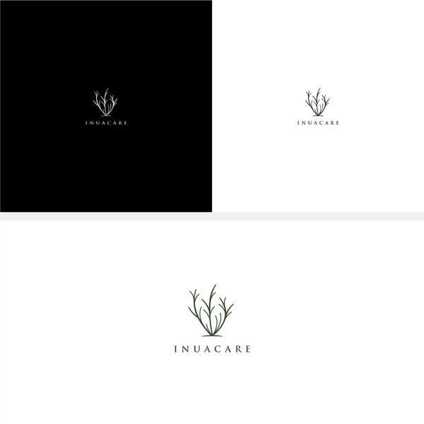 Design realizzato da Robert Steffanie intitolato "Inuacare"