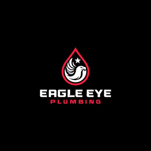 Eye catching and very marketable logo for plumbing company. The company name is Eagle Eye Plumbing Design by JakirVector