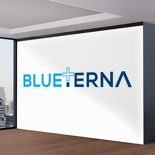 Blueterna Branding contest Design by Imam H.