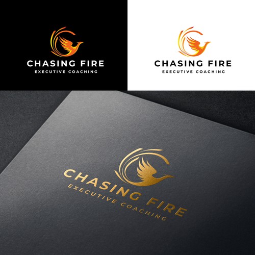 Help My Coaching Business Catch Fire Design by Teo Foulidis