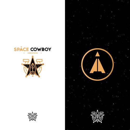 Design a logo that will end up in space, on other planets, and is edgier than old-school aerospace Design by EMM'