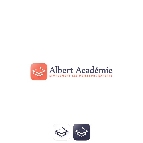  contest entry by VisibleGravity™