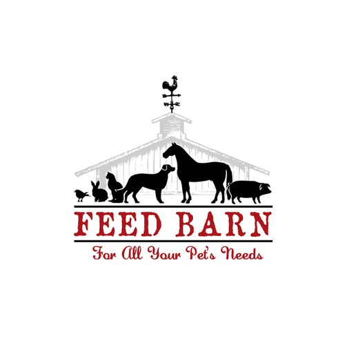 Feed best sale pet store