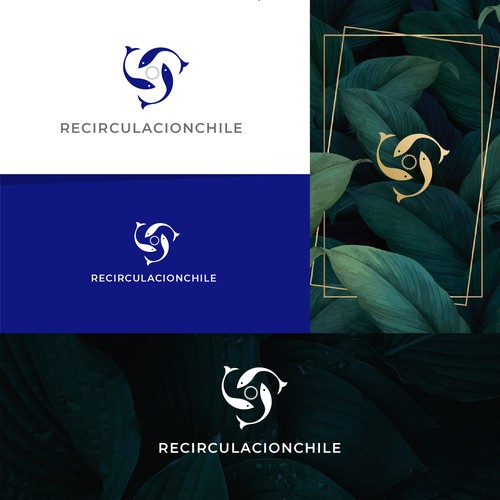 Logo & brand identity pack contest entry by smitadesign