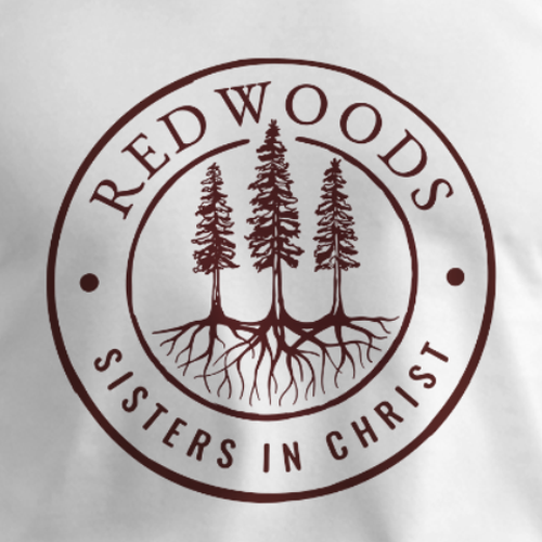 Design powerful imagery of Redwood tree roots that speak to Christian women small groups Design by Dazuke™