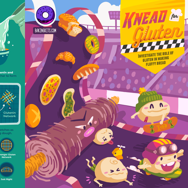 Knead For Gluten [Tri-Fold Infographic Flyer]
