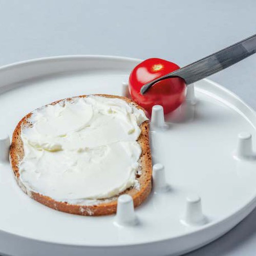 PlateWeb1.jpg
