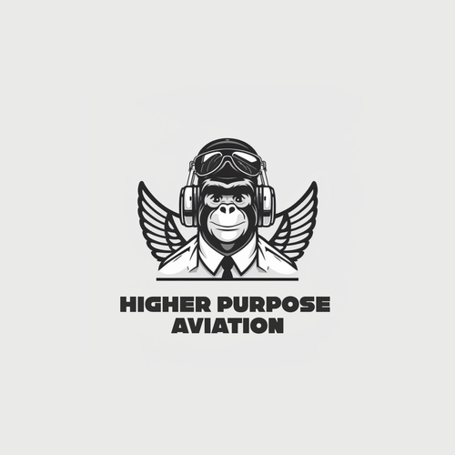 Higher Purpose Aviation Design by Studio KAV