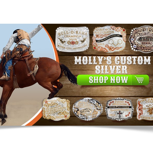 Design by Godarobert titled "Molly's Custom Silver"