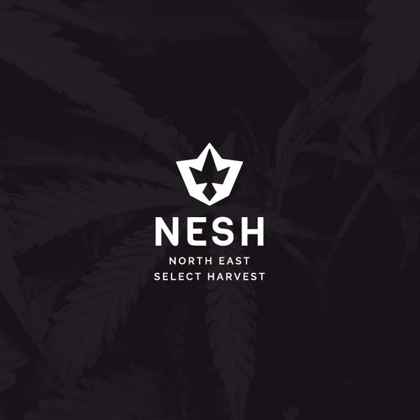 Logo concept for cannabis dispensary