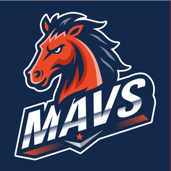 Masters Academy International (MAI)