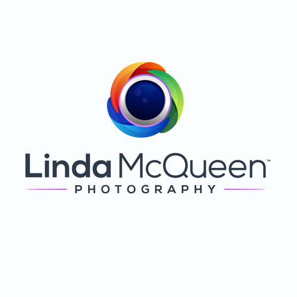 Design by kepol titled "Linda McQueen Photography"