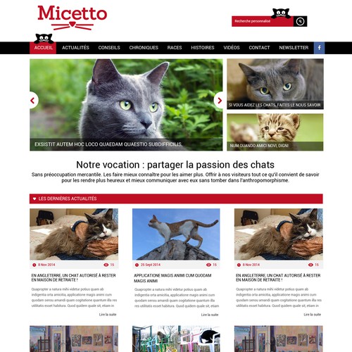 Web page design contest entry by mdcreation