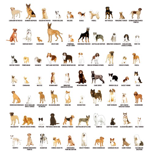 Dog Designs - 4819+ Dog Design Ideas, Images & Inspiration In 2024 ...