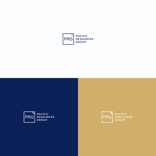 PRG Logo and Brand Guide Design by VolfoxDesign