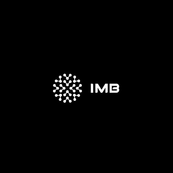 Logo Design for IMB Alpha