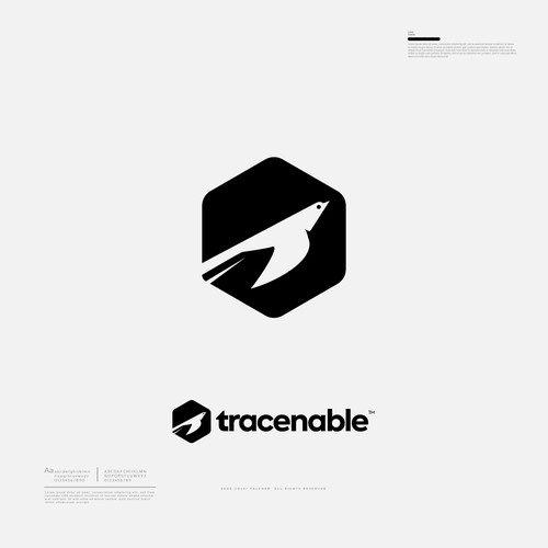 Brand guide for Acme Design by Falenar®