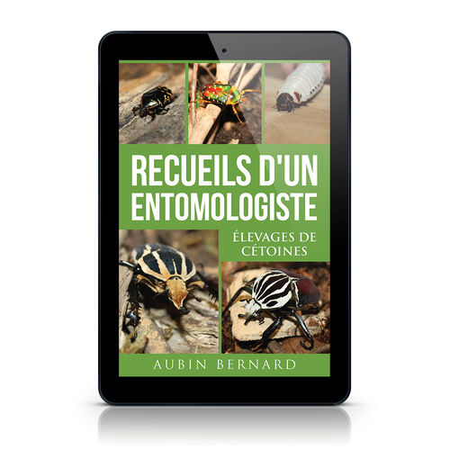 Book cover contest entry by romy