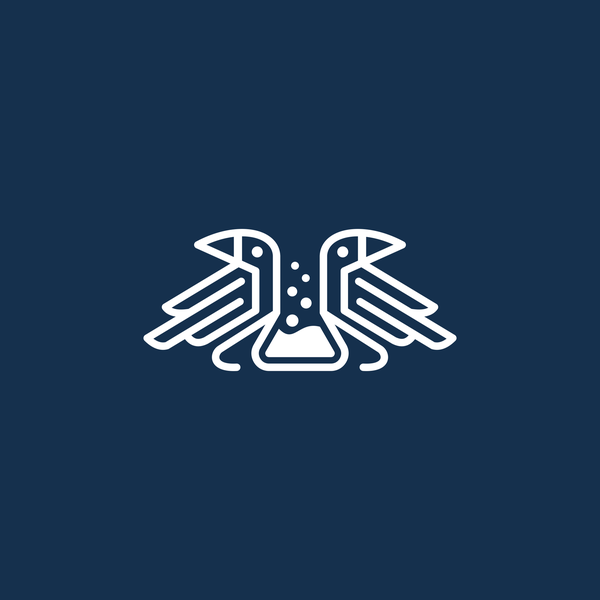 Design by B A T U R A N titled "Raven Labs"