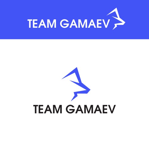 New Brand for martial arts Design by dellfi ©