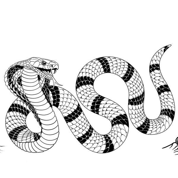 Cobra tatto