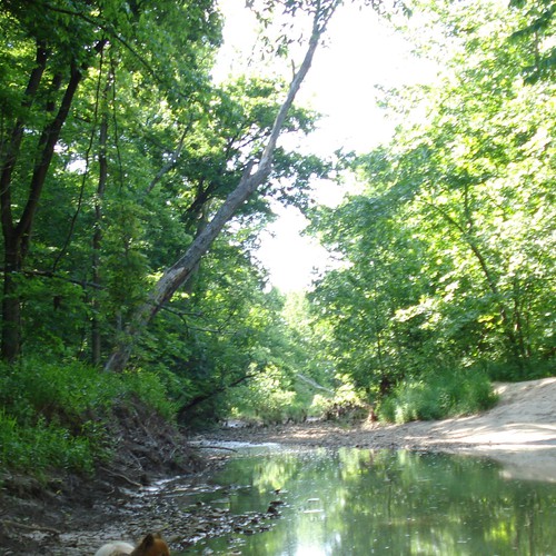 Design Rick Warren's New Book Cover Diseño de KyuubiSH