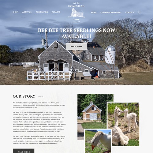 Designs | Olde Homestead Farm Website Design | Web page design contest