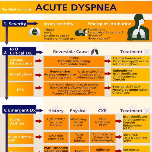 Infographic/Algorithm for ER doctors to improve patient care Design by HideSell