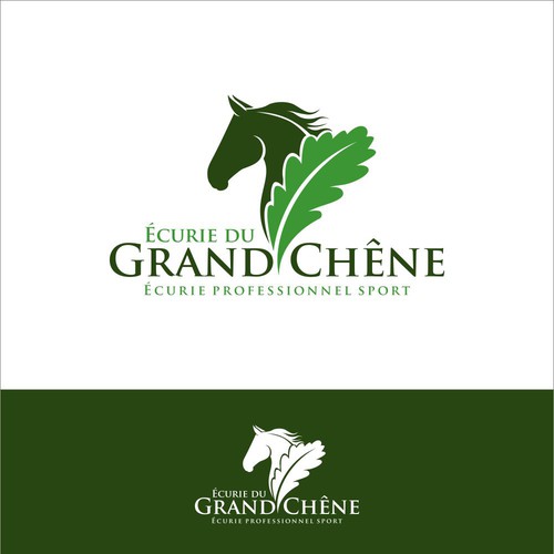  contest entry by AzZura83