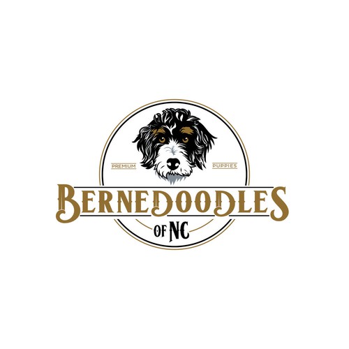 Bernedoodle dog logo capturing beauty & whimsical fun of the breed Design by F.canarin