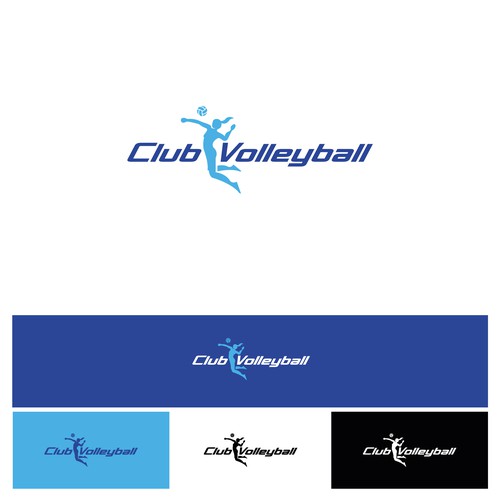 Simple Clean Top Level Volleyball Website Logo Design by Martin Milev