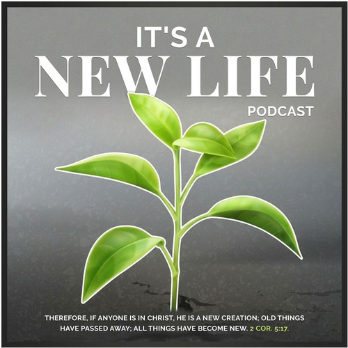  contest entry by JaneSol