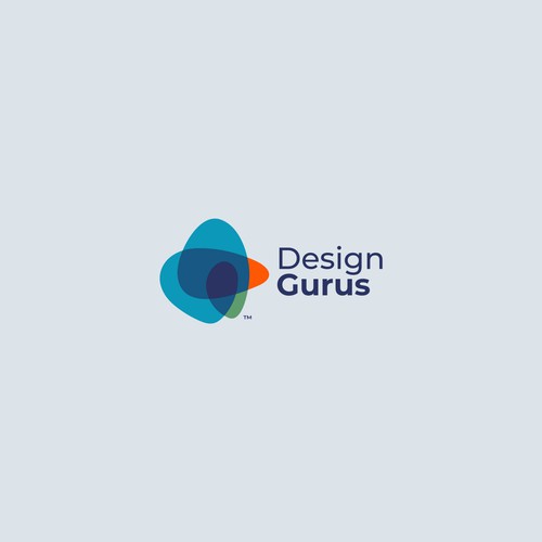DesignGurus.com  --  NEW AGENCY Design by VisibleGravity™