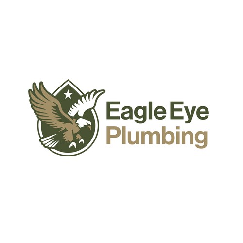 Eye catching and very marketable logo for plumbing company. The company name is Eagle Eye Plumbing Design by Elbes™
