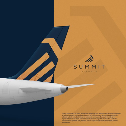 Airline logo branding, Logo & brand guide contest