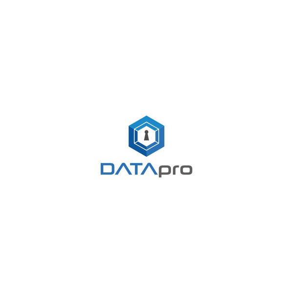 Design by MNM90 titled "logo design for datapro"