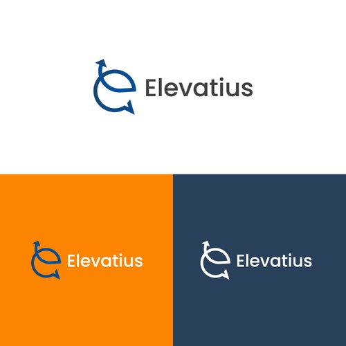 Design a top lead generating logo for a Fractional CFO firm focused on management consultants Design by Visualet