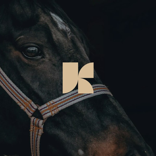 Logo for Luxurious sport horse sales