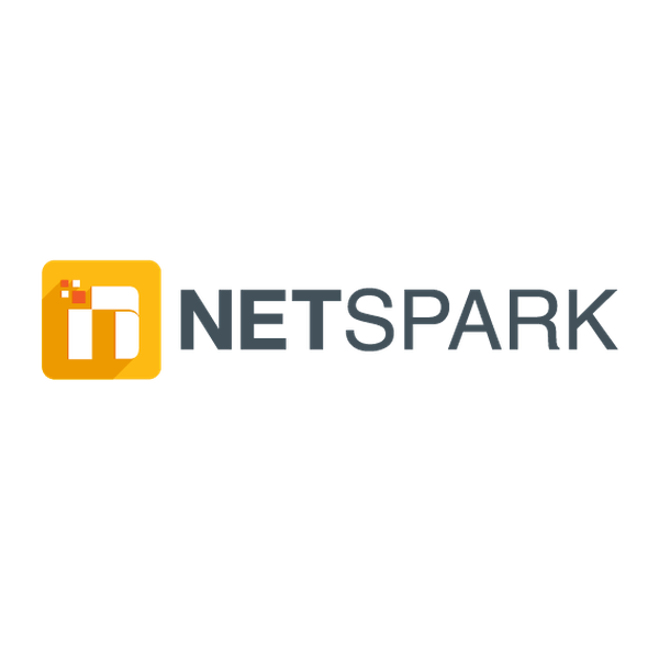 Logo Concept For Netspark