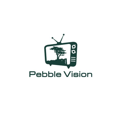 PebbleVision Design by Abacusgrp