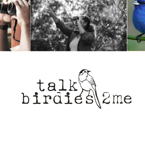 Design a powerful yet subtle bird logo for new professional birding company! Design by Studio Clevrik