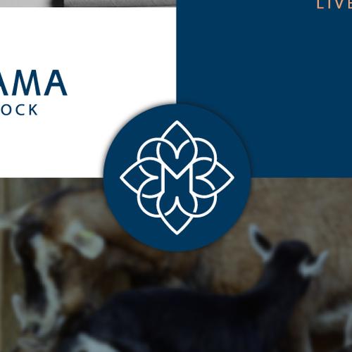 MAZAMA Design by zoroid