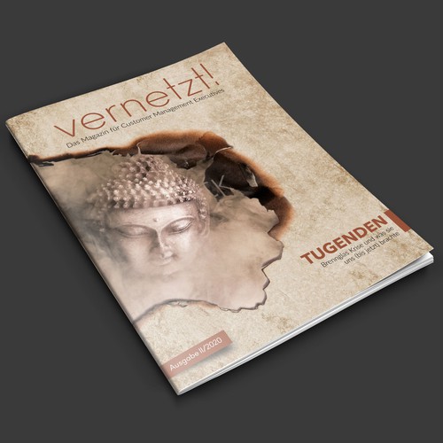 Magazine cover contest entry by SantoRoy71