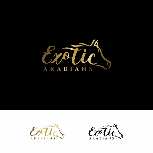 Design my stable logo Diseño de onder
