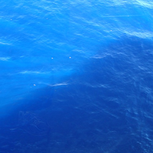 Design Rick Warren's New Book Cover Design by c thomas