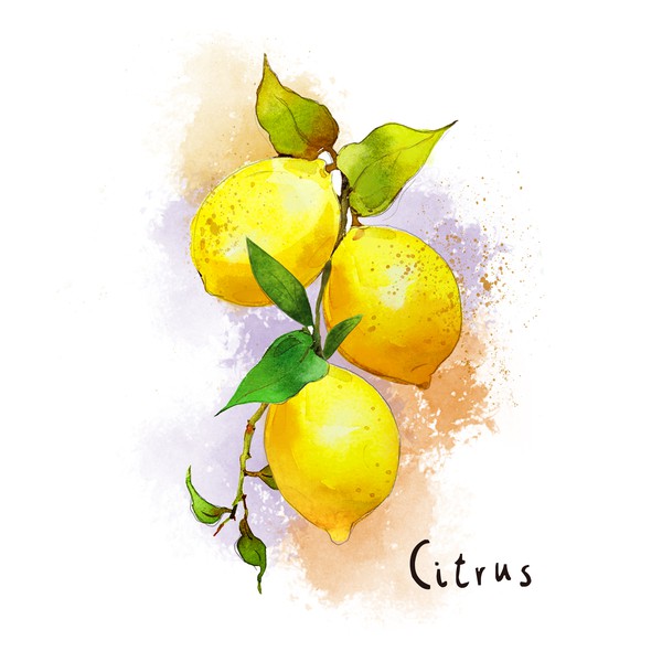watercolor
