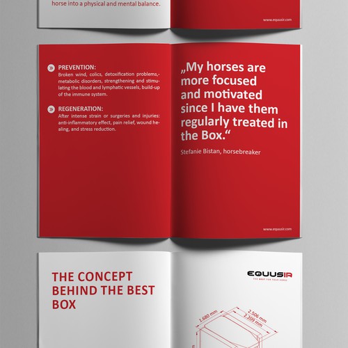 Brochure contest entry by simona n.