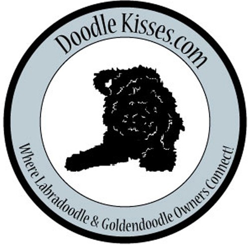 [[  CLOSED TO SUBMISSIONS - WINNER CHOSEN  ]] DoodleKisses Logo Design by tlboring