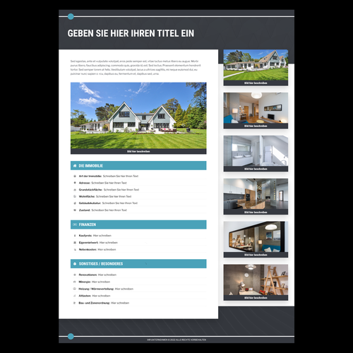 Other business or advertising contest entry by Robert Querales